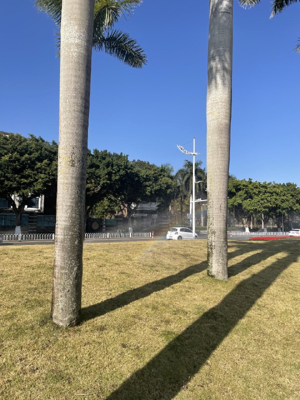 阳光正好