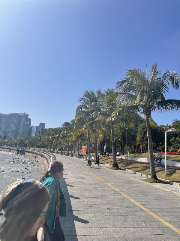 阳光正好